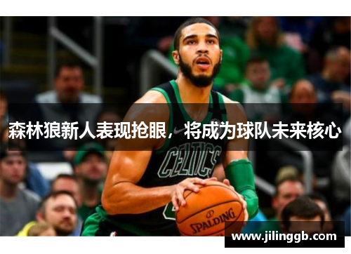 森林狼新人表现抢眼，将成为球队未来核心